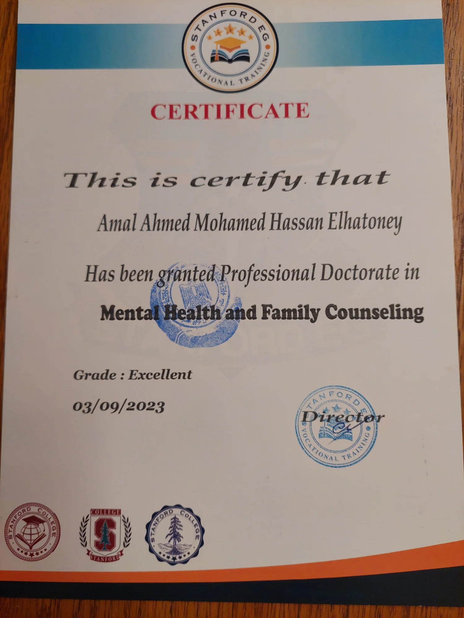 دكتوراة مهنية